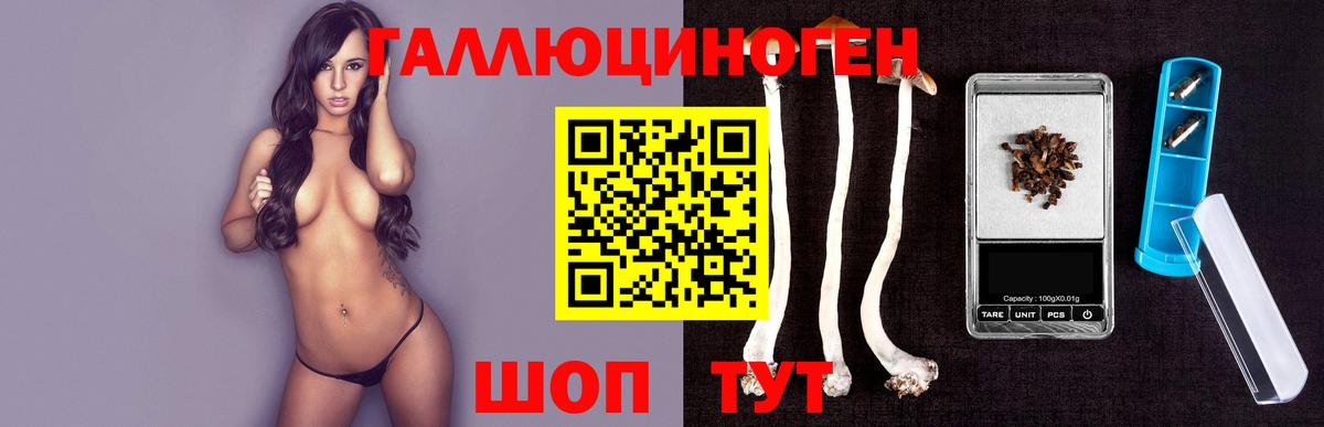 A PVP Туймазы